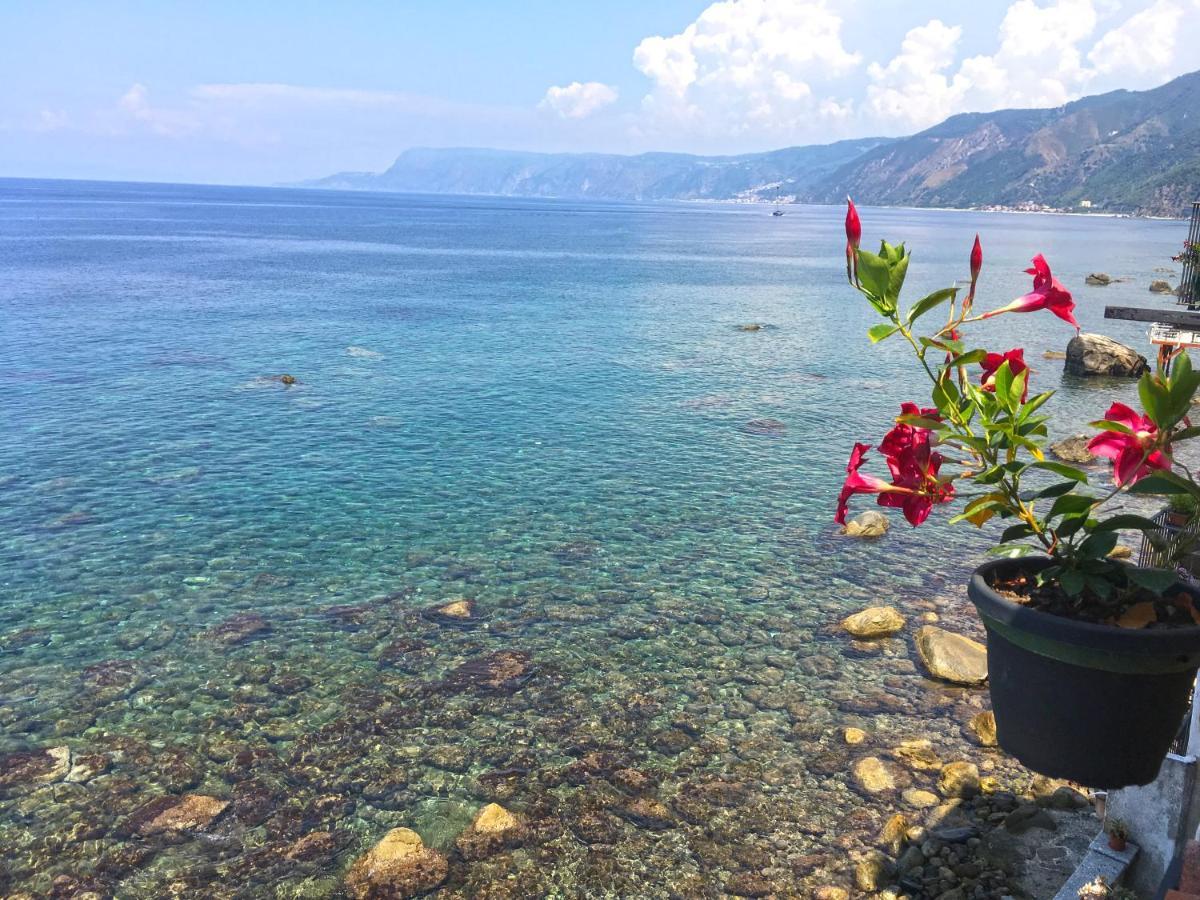 Bed and Breakfast Bb Il Generale Scilla Zewnętrze zdjęcie